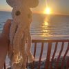 gray squid - Image 9
